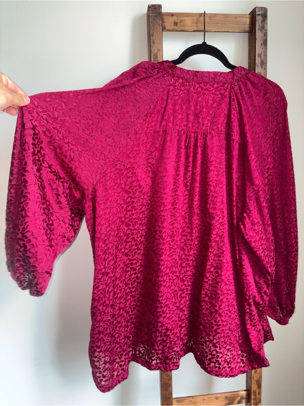 Anthropologie Susanna Burnout Velvet Oversized 3X Buttondown Semi Sheer Blouse - Picture 11 of 16